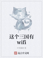 这个三国有wifi